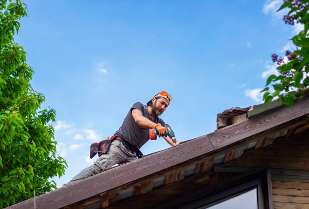 Best Skylight Installation and Repair  in Northbrook, OH