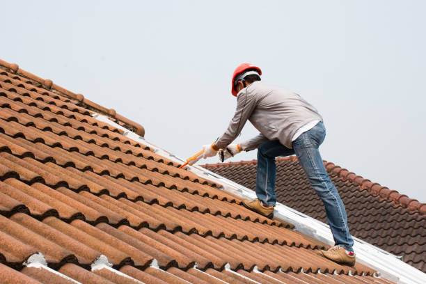 Best Roof Insulation Installation  in Northbrook, OH